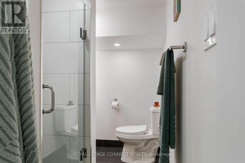 44 Symington Avenue, Toronto (Dovercourt-Wallace Emerson-Junction), ON - Indoor Photo Showing Bathroom