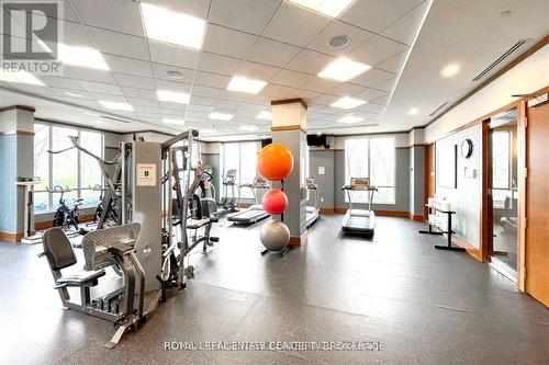 3308 - 15 Viking Lane, Toronto, ON - Indoor Photo Showing Gym Room