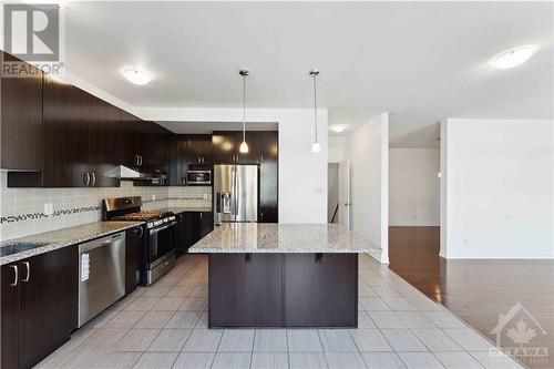 241 Dave Smith Crescent, Ottawa, ON - Indoor Photo Showing Kitchen With Double Sink With Upgraded Kitchen