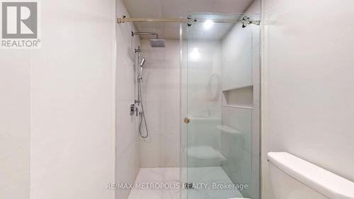 Lower B - 40 Stanwood Crescent, Toronto (Humbermede), ON - Indoor Photo Showing Bathroom