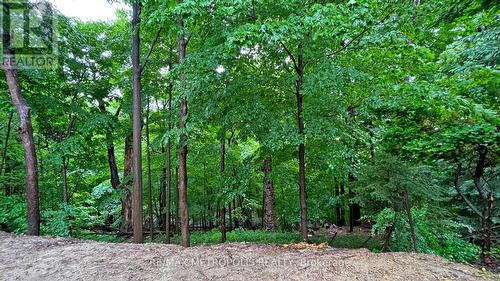 Lower B - 40 Stanwood Crescent, Toronto (Humbermede), ON - Outdoor