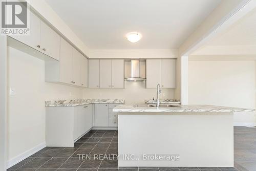 59 Downriver Drive, Welland, ON - Indoor Photo Showing Kitchen With Double Sink