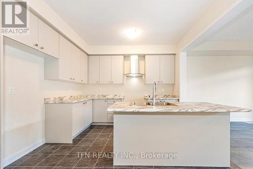 59 Downriver Drive, Welland, ON - Indoor Photo Showing Kitchen With Double Sink