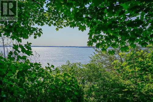 32 Meadow Road, Upper Island Cove, NL - Outdoor With Body Of Water