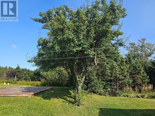 56 Atlantic Street, Marystown, NL - Outdoor With View