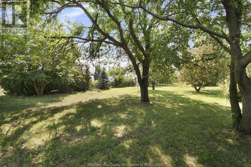 133 North Rear Road, Maidstone, ON - Outdoor