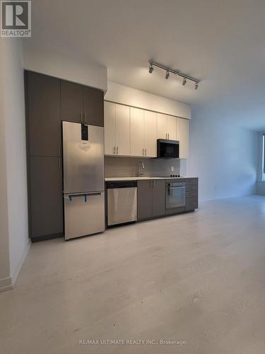 107 - 415 Main Street W, Hamilton, ON - Indoor Photo Showing Kitchen