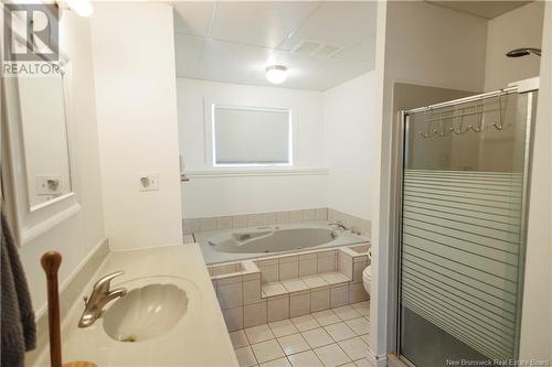 25 Marcel Street, Grand-Sault/Grand Falls, NB - Indoor Photo Showing Bathroom