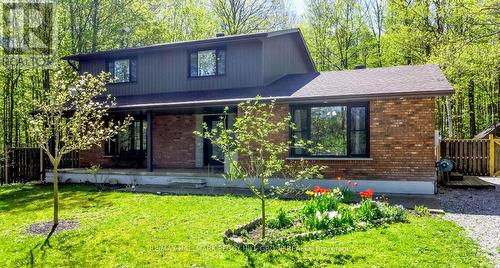 4969 25Th Side Road, Essa, ON - Outdoor With Deck Patio Veranda