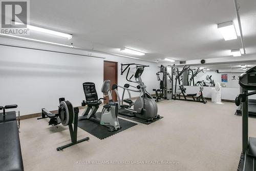 2012 - 61 Richview Road, Toronto (Humber Heights), ON - Indoor Photo Showing Gym Room