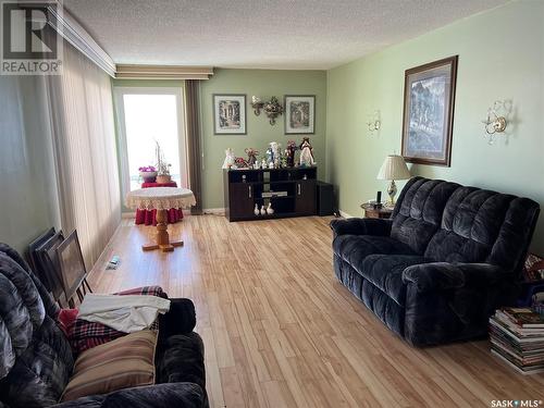 702 Portage Avenue, Wadena, SK - Indoor Photo Showing Living Room