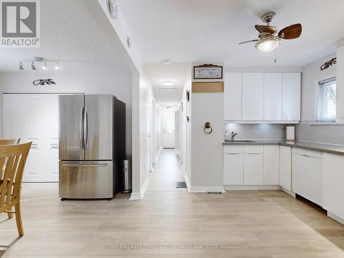 21 Enfield Avenue, Toronto (Alderwood), ON - Indoor Photo Showing Kitchen