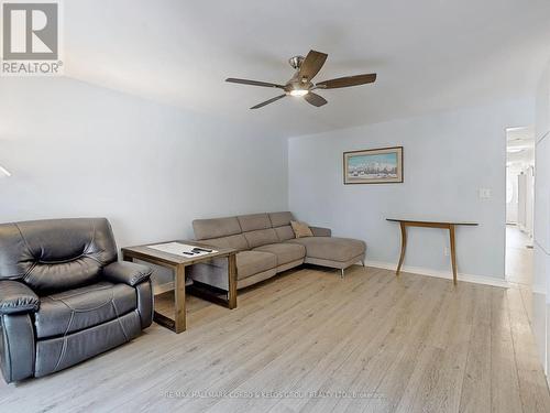 21 Enfield Avenue, Toronto (Alderwood), ON - Indoor Photo Showing Living Room