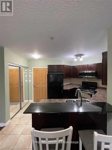 316 - 8 Harris Street, Cambridge, ON - Indoor Photo Showing Kitchen With Double Sink