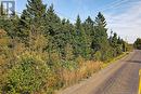 Lot 8 Kingsley Road, Birdton, NB 