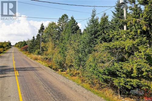 Lot 8 Kingsley Road, Birdton, NB 