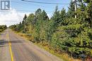 Lot 8 Kingsley Road, Birdton, NB 