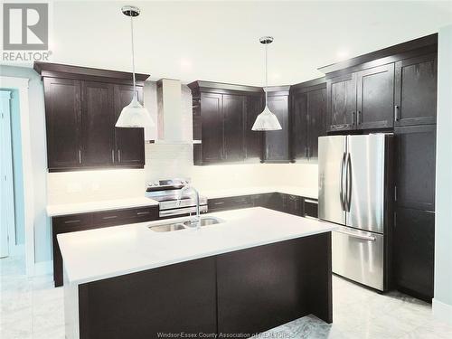 1611 Virtue Lane Unit# Upper Level, Windsor, ON - Indoor Photo Showing Kitchen With Upgraded Kitchen