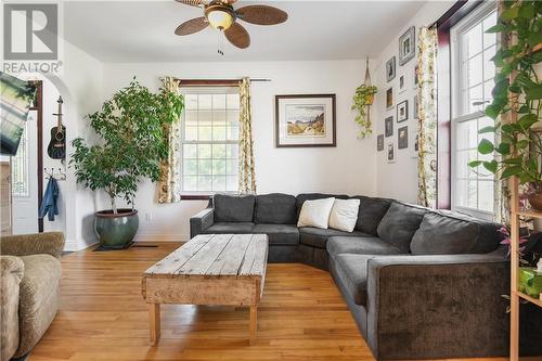 167 Raglan Street N, Renfrew, ON - Indoor Photo Showing Living Room