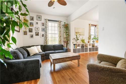 167 Raglan Street N, Renfrew, ON - Indoor Photo Showing Living Room