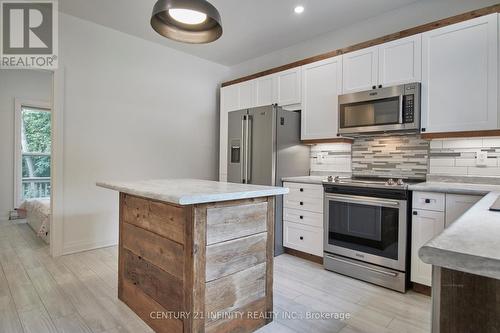 7222 Hwy 35, Kawartha Lakes (Coboconk), ON - Indoor Photo Showing Kitchen With Stainless Steel Kitchen With Upgraded Kitchen