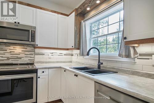 7222 Hwy 35, Kawartha Lakes (Coboconk), ON - Indoor Photo Showing Kitchen With Double Sink