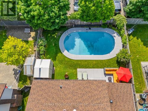 95 Elgin Drive, Brampton (Brampton South), ON - Outdoor With In Ground Pool With Backyard