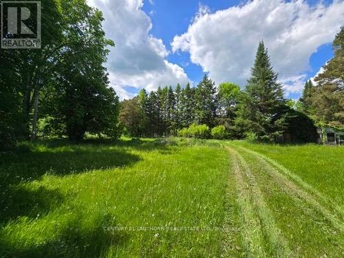 118 Storms Road, Stirling-Rawdon, ON 