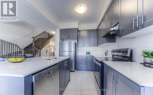 223 Broadacre Drive, Kitchener, ON - Indoor Photo Showing Kitchen With Stainless Steel Kitchen With Double Sink With Upgraded Kitchen