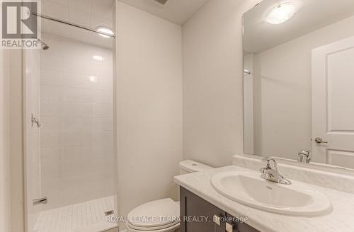 223 Broadacre Drive, Kitchener, ON - Indoor Photo Showing Bathroom