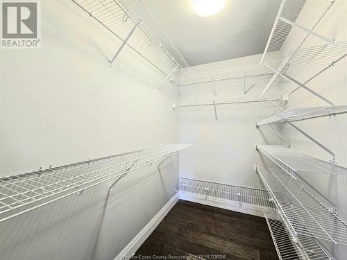 3645 Riberdy Road, Windsor, ON - Indoor With Storage