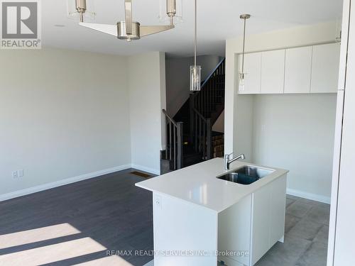 7 Cherry Blossom Heights, Hamilton (Sheldon), ON - Indoor Photo Showing Kitchen With Double Sink