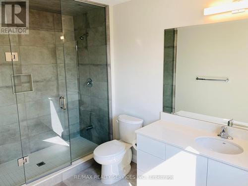 7 Cherry Blossom Heights, Hamilton (Sheldon), ON - Indoor Photo Showing Bathroom