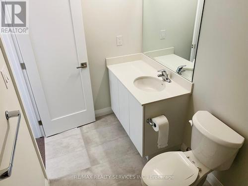 7 Cherry Blossom Heights, Hamilton (Sheldon), ON - Indoor Photo Showing Bathroom