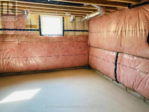 7 Cherry Blossom Heights, Hamilton (Sheldon), ON - Indoor Photo Showing Basement