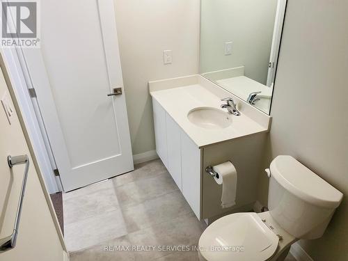 7 Cherry Blossom Heights, Hamilton, ON - Indoor Photo Showing Bathroom