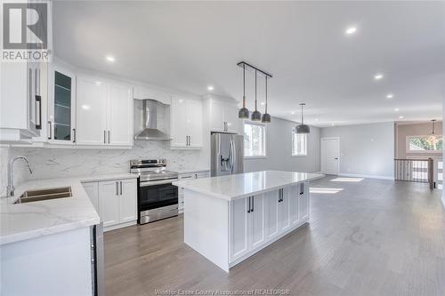 1750 Dominion, Windsor, ON - Indoor Photo Showing Kitchen With Double Sink With Upgraded Kitchen