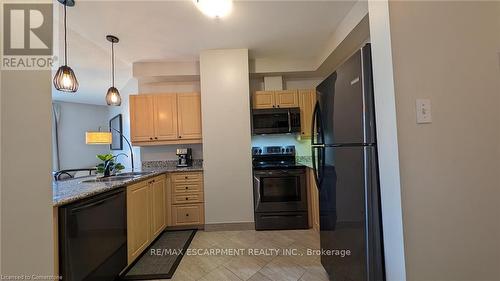 115 - 135 James Street S, Hamilton (Durand), ON - Indoor Photo Showing Kitchen With Double Sink