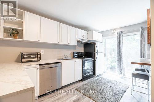 49 Paddington Avenue, London, ON - Indoor Photo Showing Kitchen With Double Sink