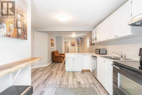 49 Paddington Avenue, London, ON - Indoor Photo Showing Kitchen With Double Sink