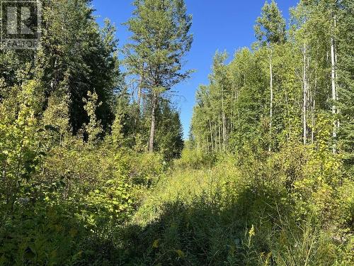 Lot 3 Woodridge Road, Quesnel, BC 