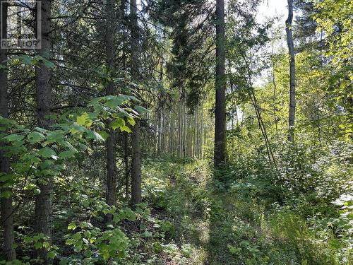 Lot 3 Woodridge Road, Quesnel, BC 