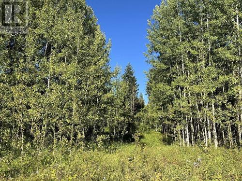 Lot 3 Woodridge Road, Quesnel, BC 