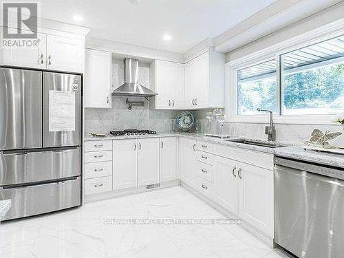 248 Robina Road, Hamilton (Ancaster), ON - Indoor Photo Showing Kitchen With Upgraded Kitchen