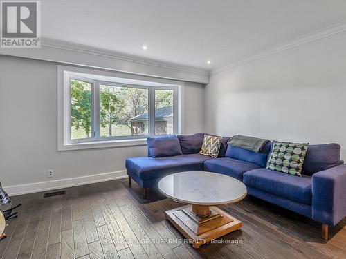 62 Haliburton Avenue, Toronto (Islington-City Centre West), ON - Indoor Photo Showing Living Room