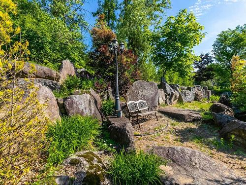 Cour - 522 Rue De La Grotte, Mont-Saint-Hilaire, QC - Outdoor