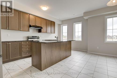 263 Gillespie Drive, Brantford, ON - Indoor Photo Showing Kitchen