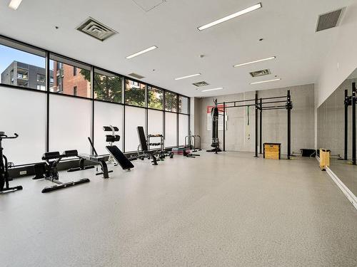 Salle d'exercice - 271-729 Rue Bourget, Montréal (Le Sud-Ouest), QC - Indoor Photo Showing Gym Room