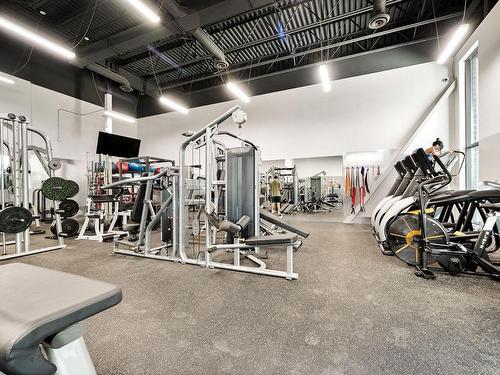 Salle d'exercice - 271-729 Rue Bourget, Montréal (Le Sud-Ouest), QC - Indoor Photo Showing Gym Room