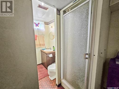 408 8Th Avenue W, Biggar, SK - Indoor Photo Showing Bathroom